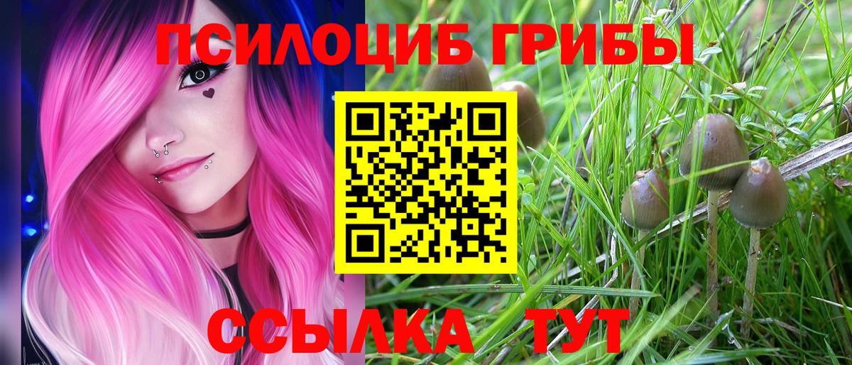 Псилоцибиновые грибы прущие грибы Мелеуз