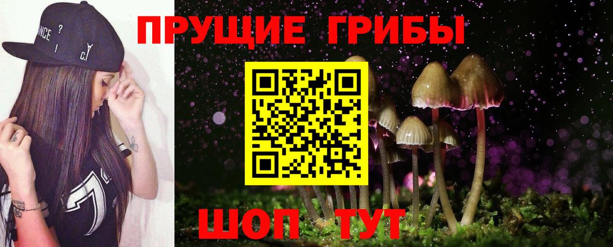 как найти закладки  Псилоцибиновые грибы Cubensis  Вход с VPN  Мелеуз 